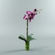 Bamboo S - Orchid tall Fushia 72cm