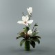 Bamboo M - Magnolia open and bud White 67cm