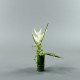 Bamboo S - Heliconia White 40cm