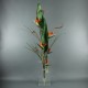 Flat XL - Bird of paradise, branches 180cm