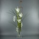 Flat XL - Heliconia white, Pendula white 172cm