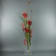 Flat XL - Heliconia rouge. Pendula rouge