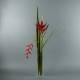 Para M - Heliconia red, Pendula red 118cm
