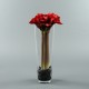 Conic L - Amaryllis x5 red 62cm