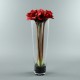 Conic XL - Amaryllis x6 red 80cm