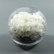 Sphere XL - Hydrangea white 30cm