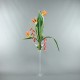 Martini L - Bird of paradise, Pendula red 136cm