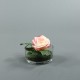 Cylindric clear - Rose pink 15cm