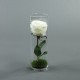 Cylindric clear tube - Rose white 30cm