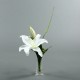 Conic S - Lily blanc 51cm