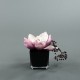 Cube L black - Magnolia pink 21cm
