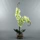 Cube L Clear - Orchid green 106cm