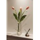 Lumi Flat MM - Tulip pink 81cm (x3) 83cm