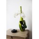 ST TROPEZ PM Lacquered wooden vase green - Orchid white 70cm