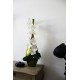ST TROPEZ GM Lacquered wooden vase green - Orchid white 95cm