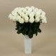 Bouquet - Roses blanches