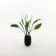 Calla Lily potted - White 52cm