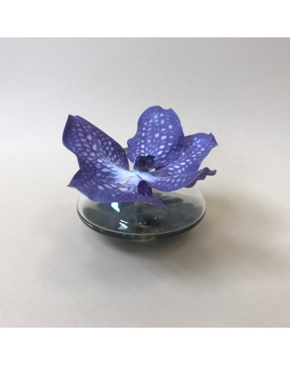 Fleuron d'Orchidée Vanda dans résine 11cm - Bleu lavande
