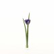 Mini Water Lily in glass - Blue Lavender 46cm