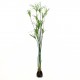 Papyrus grass soil - Green 152cm