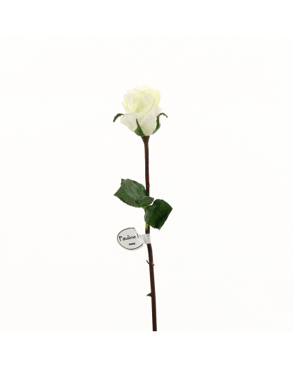 Rose Duchesse bouton tige courte 52cm - Blanc