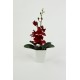 Cube M silver - Amaryllis Red 53cm