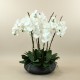 Sphere L - Magnolia, Hydrangea, Rose white 52cm