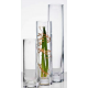 Clear Solifleur vase - Cold cut - H 24cm - diamètre 6.0 cm