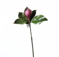 Magnolia Fashion 61cm ? Bordeaux