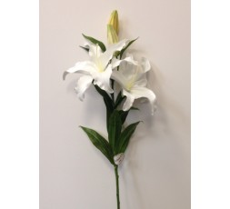 Lys Casablanca 99cm - Blanc