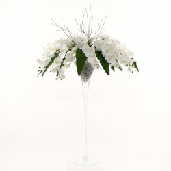 Martini XL - Orchidée blanche