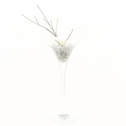 Martini M - Orchidée blanche