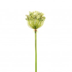 Agapanthe 91cm - Vert clair