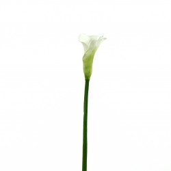 Arum 76cm - Blanc vert