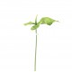 Anthurium 81cm - Vert