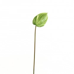 Anthurium 89cm - Vert clair