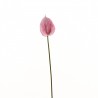 Anthurium 89cm - Rose clair