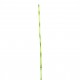 Bambou 147cm - Vert