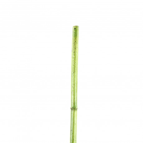 Bambou 140cm - Vert