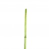 Bambou 140cm - Vert