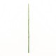Bambou 129,5cm - Vert