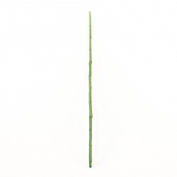 Bamboo stick 129,5cm