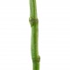 Bambou 129,5cm - Vert