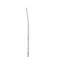 Branches 110,5cm - Marron