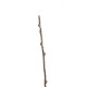 Branches 110,5cm - Marron