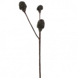 Branche de Cône (triple) 60cm - Marron