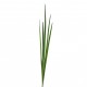 Herbes en fagot 104cm - Vert