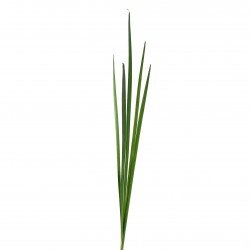 Grass bundle 104cm