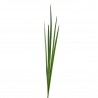 Herbes en fagot 104cm - Vert