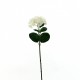 Hortensia 71cm - Blanc